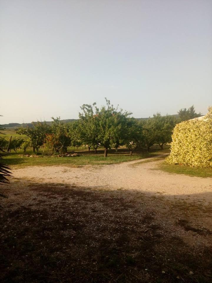 Appartamento Residenza agrituristica Santa Lucia con piscina Alghero Esterno foto