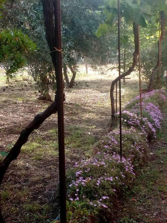 Appartamento Residenza agrituristica Santa Lucia con piscina Alghero Esterno foto