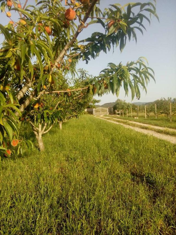Appartamento Residenza agrituristica Santa Lucia con piscina Alghero Esterno foto